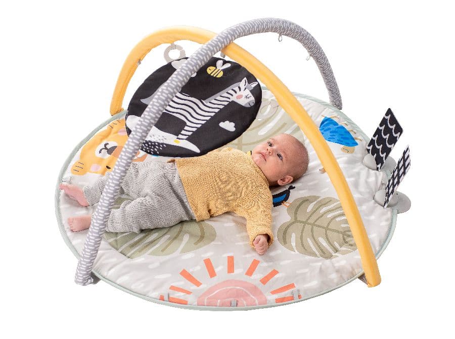 Taf Toys 360 Activity Gym Savannah Adventures for babies