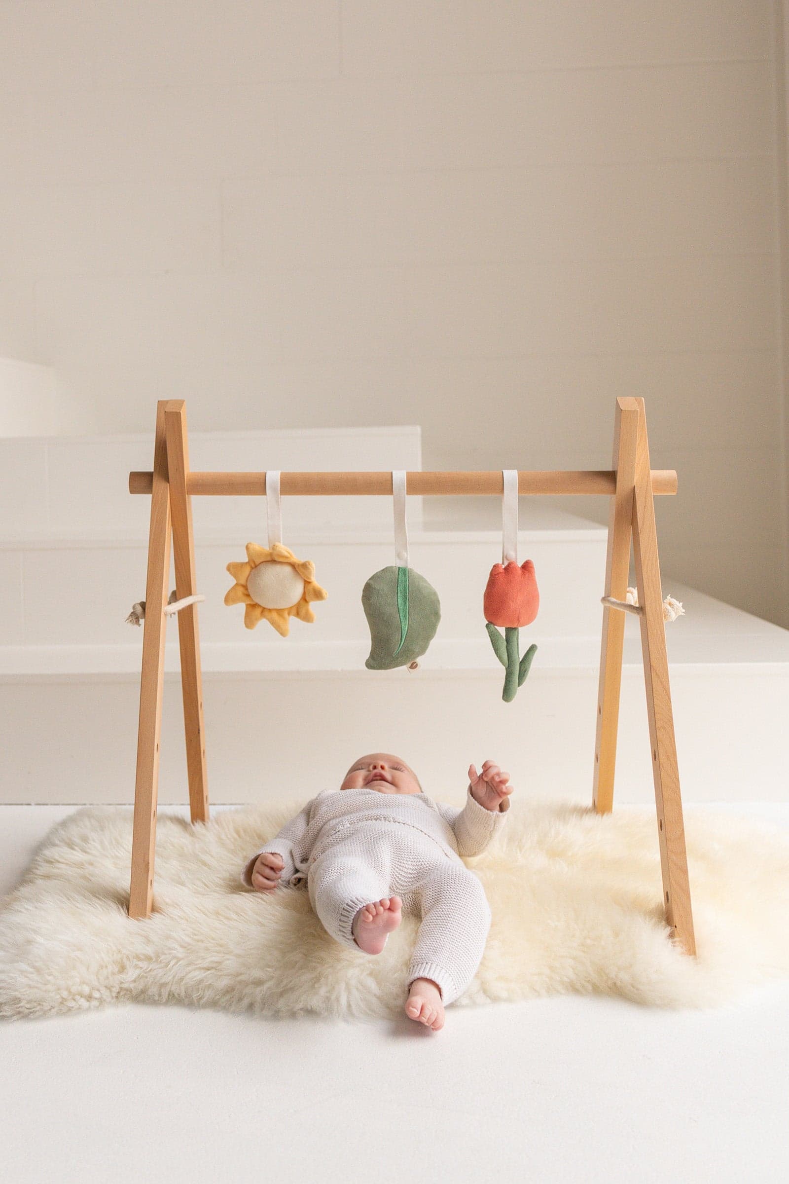 Babiem Baby Gym George crafted from FSC-certified birch wood.