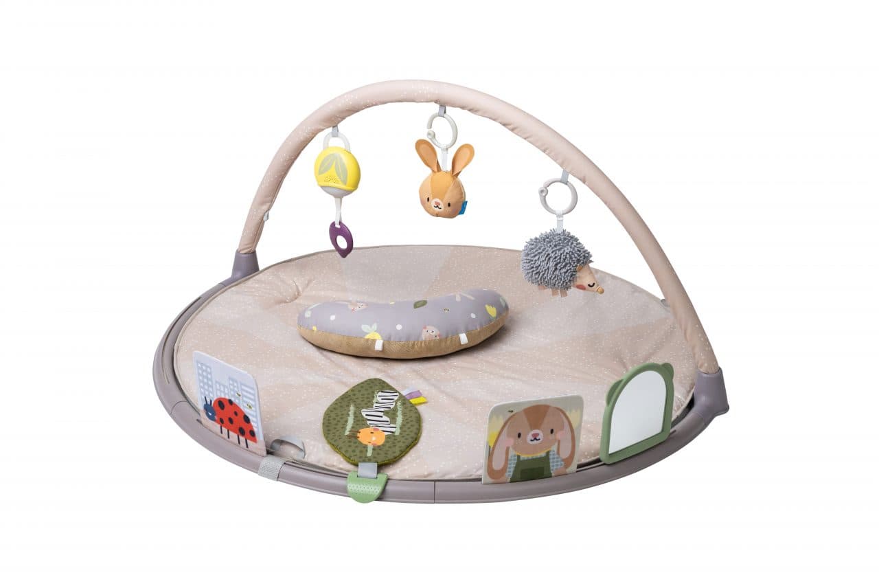Taf Toys Tummy Time Activity Gym with colorful sensory elements.