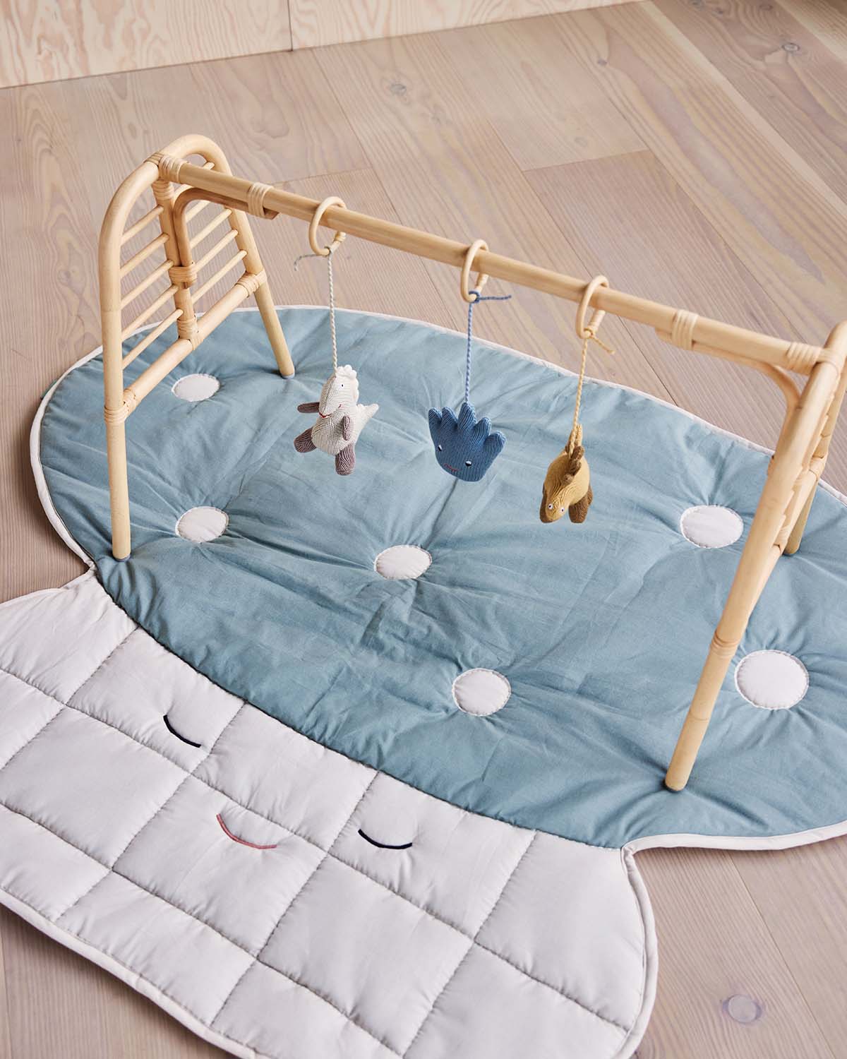 Nana Mini Activity Play Gym for infants featuring soft fabrics and interactive elements.